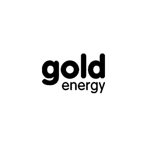 logo-black-_0000s_0020_goldenergy